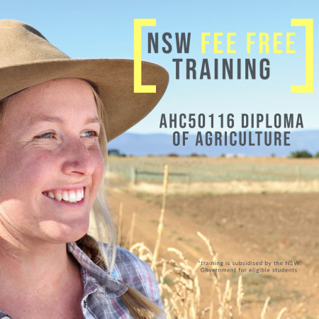 NSW Fee Free Training